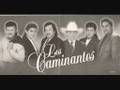 Los Caminantes - talk to me -  ( dime amor )