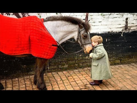 Moment privilégié entre un petit ami et un cheval ❤️