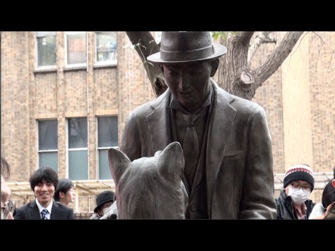 download lagu mp3 mp4 Shibuya Dog, download lagu Shibuya Dog gratis, unduh video klip Shibuya Dog