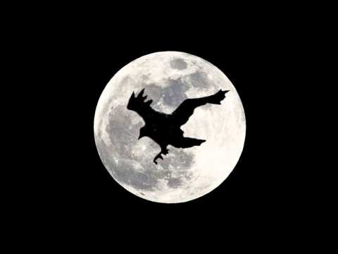 Blackbird Song — Lee DeWyze 