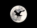 Lee DeWyze Blackbird Song