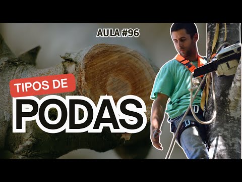 #96-Quais tipos de podas e quando é necessário fazer.