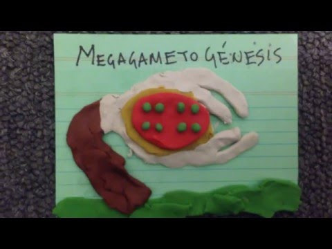 Reproducción de Angiospermas