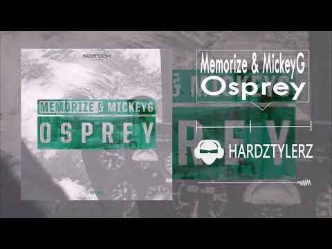 Memorize & MickeyG - Osprey