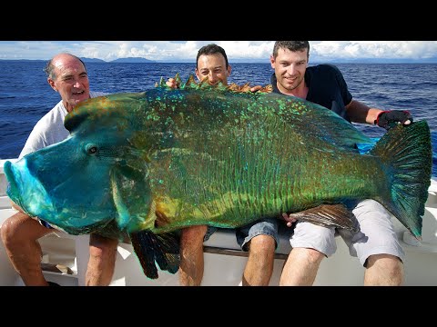 10 Most Bizarre Things Caught By Fishermen!