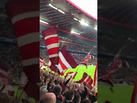 Bayern München Tribune Fan