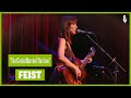 Feist - "The Circle Married The Line" (live on eTown)