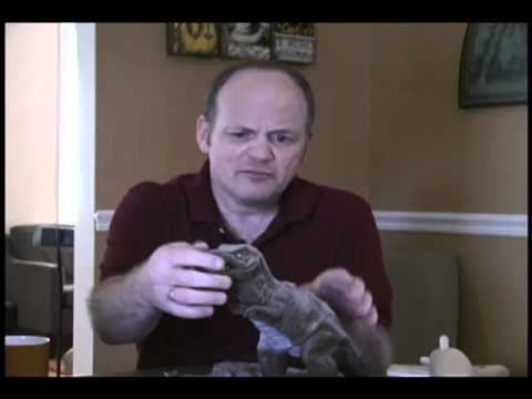 Erikson's Eight Stages: How to Quickly Memorize Them