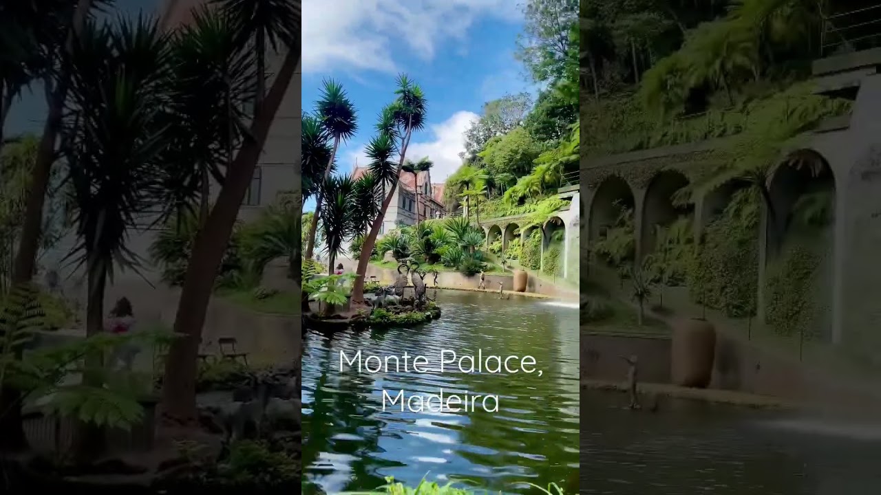 YouTube Short thumbnail