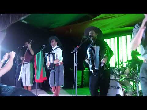 Música ➡Procurando Cambicho JLC🎶