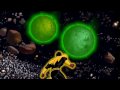 Light Up the Sky - Green Lantern Music Video