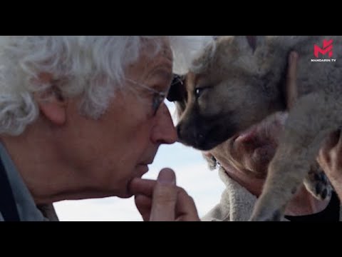 Jean-Jacques Annaud raconte sa belle histoire d'amour avec les loups(专访) « 狼图腾 » 导演 让·雅克·阿诺讲述拍摄的感人细节