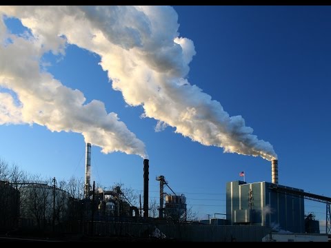 Panorama Ecológico video