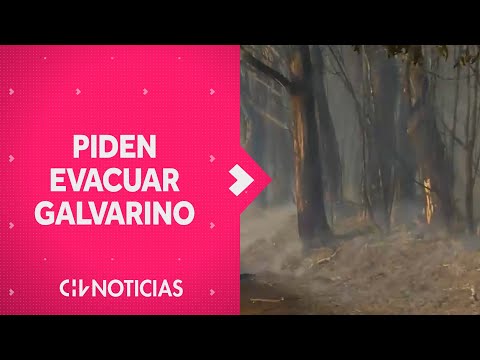 Solicitan evacuar sector urbano de Galvarino por incendio forestal en región de La Araucanía