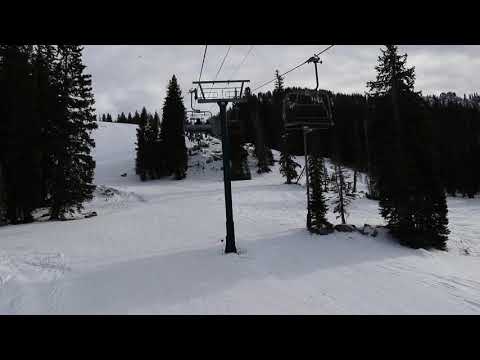 Early Season 2020: November 11.23.2020,  Brighton: Snake and Crest chairs