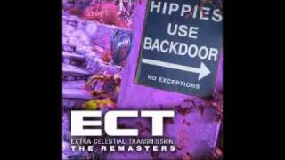 ECT - Squawk