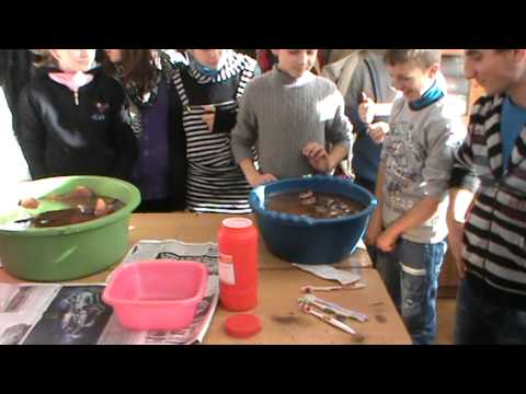 PROIECT EDUCATIONAL SCOALA GIMNAZIALA OTELENI LOCATIA HANDRESTI .MPG