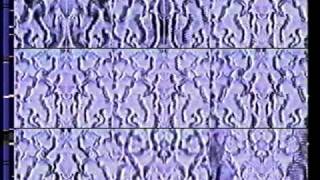 M.A.Y. in the Backyard