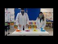 The Scientific Method with an Apple Experiment