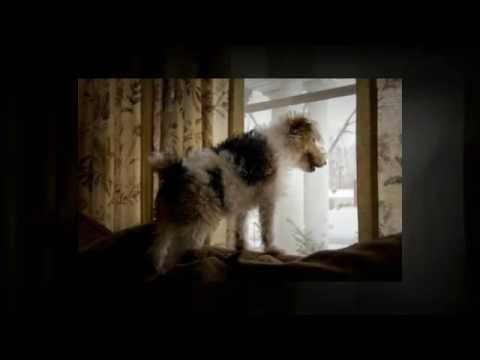 life's abundance coupon code