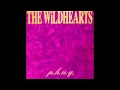 The Wildhearts - Baby Strange/Nita Nitro 