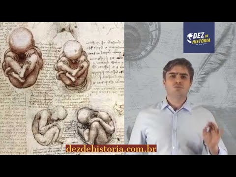 Renascimento II. Análise de Leonardo da Vinci e Michelangelo