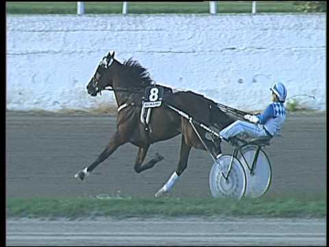 Trotto 07/10/2016 - 5ª corsa