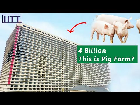 , title : '4 billion to build a 26 story building to raise pigs, China’s profitable high tech farm'