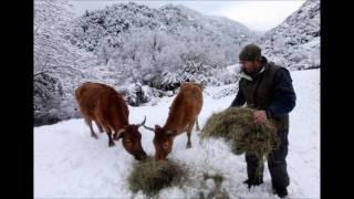 preview picture of video 'corse sous la neige février 2012'