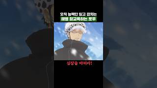 원피스) 오직 능력만 믿고 깝치는 해병 참교육하는 로우