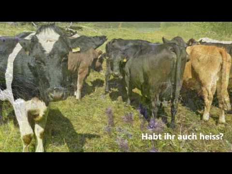 Von Spinas nach Preda