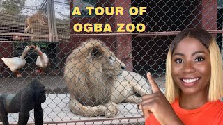 What's Inside OGBA ZOO Benin City? MUST-WATCH Before Visiting