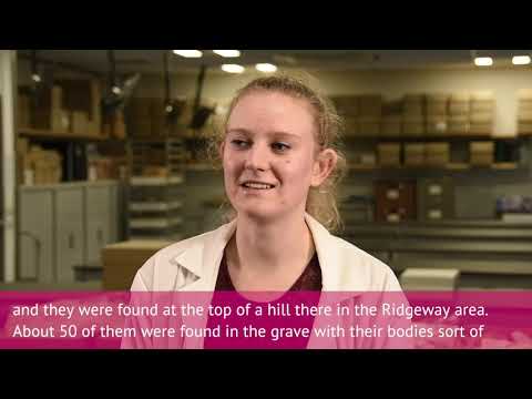 Analysing skeletons from a Viking mass grave