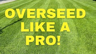 How to Overseed An Existing Lawn / Fall Renovation and Overseeding