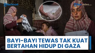 Bayi Dua Minggu di Gaza Meninggal Kedinginan di Tengah Krisis Pengungsian dan Cuaca Ekstrem