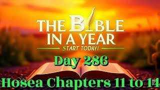 Bible in a Year Day 286 | Hosea 11–14 – God’s Unfailing Love and the Call to Return
