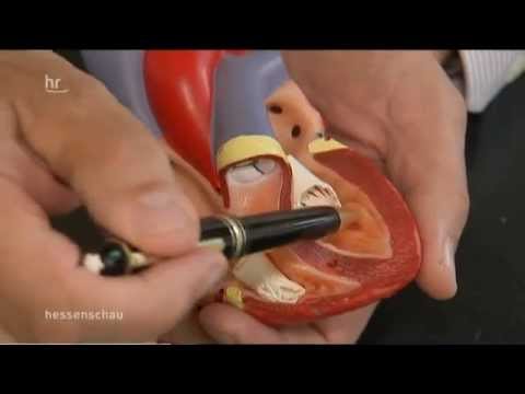 Prostatitis kein Kharitonov Kürbis Öl aus der Prostata