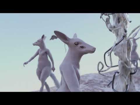 Belako - Orein Orain (Lyric Video)