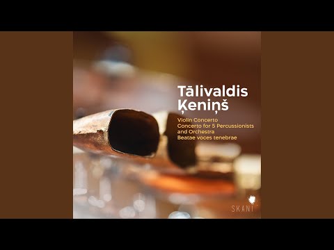 Concerto for 5 Percussionists and Orchestra: III. Molto animato