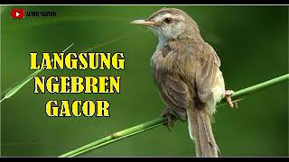 Download lagu MASTERAN CIBLEK SAWAH KLIK KLIK MP3 mp3 Download lagu MASTERAN CIBLEK SAWAH KLIK KLIK MP3 mp3