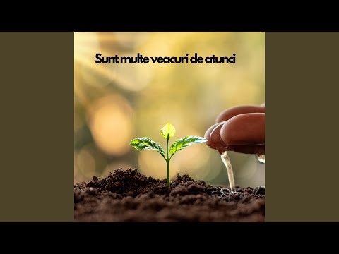 Sunt multe veacuri de atunci