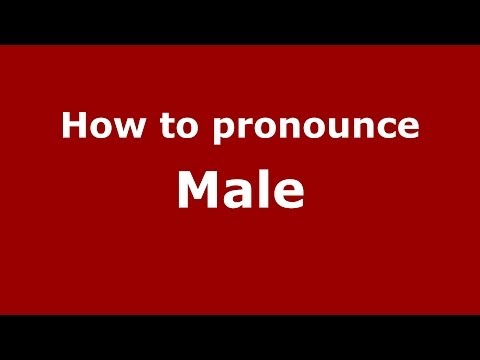 How to pronounce Male