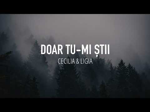 Doar Tu-mi știi - Cecilia & Ligia// Cover