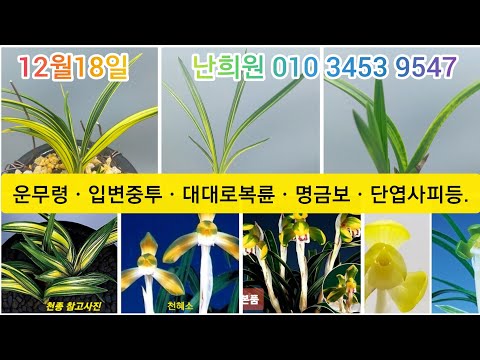 유튜브 썸네일