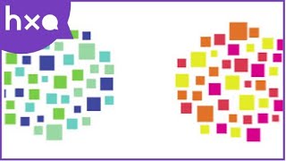 Video thumbnail of ,"What is Viewpoint Diversity?" Graphic illustration of groups of small colored squares.