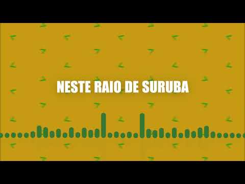 Vira Vira - Mamonas Assassinas