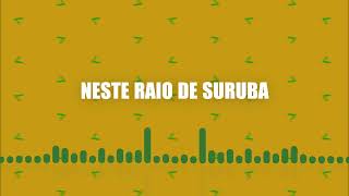 Mamonas Assassinas - Vira-Vira (Lyric Video)