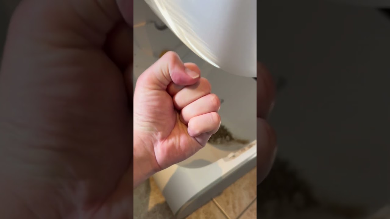 #3dprinting #litterbox #cat #problemsolving #ender3s1 #fusion360 #litterrobot