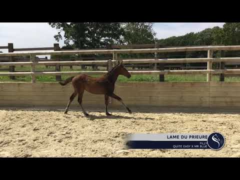 LAME DU PRIEURE