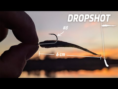 Mini-Dropshot: The most effective rig for fall and winter!